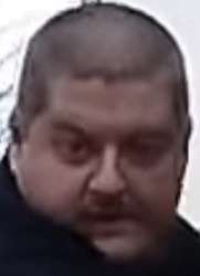 vovus.png