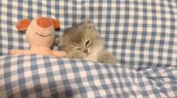 IMG20240419131958769.jpg