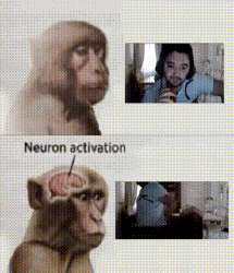 neuron2.gif.gif
