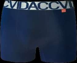VIDACI.png