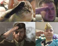 346756756757.jpg