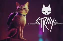 Stray.webp