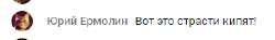 ермолин.png