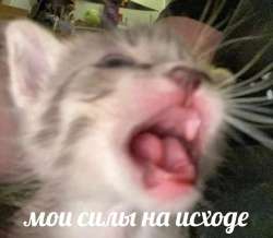 IMG20240709214842436.jpg