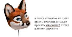 IMG20240711154114419.jpg