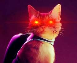 memed-io-output.jpeg