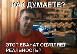 кинбис доброе животное.png