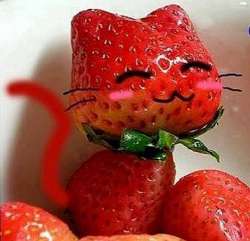82346C2A-7DAE-4C9D-A10C-4F9F37060557.jpeg