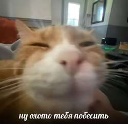 39F07807-A45D-4B78-ADD5-27282269D2F4.jpeg