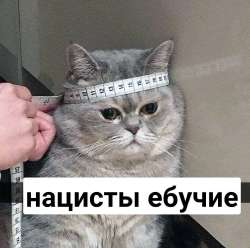 16998352047290.jpg