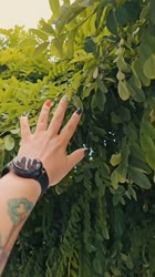 17222762363450.mp4