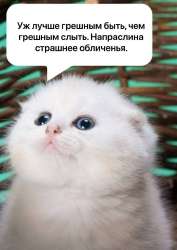 IMG20240810163753814.jpg