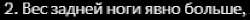 вес ноги.png