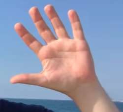 17084426662730.png