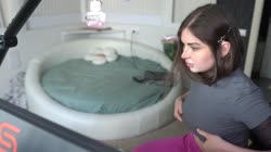 17269327012490.mp4