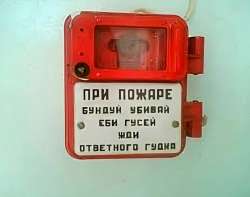 1686673523141694729.jpg