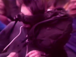 untit111led.mp4