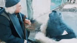 17105858894880.mp4