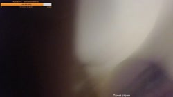 16851342866480.mp4