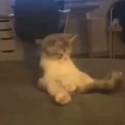 cb.webm