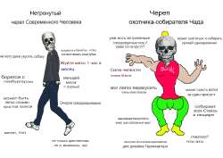 image.translated.jpg