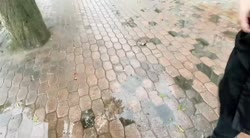 17270149229590.mp4