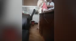 010.mp4