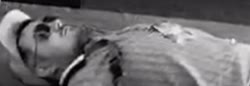 17272237996480.webm