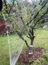 VID20240925200615165.mp4.mov