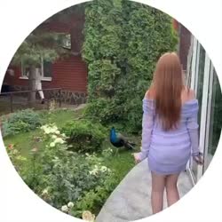 video.mp4