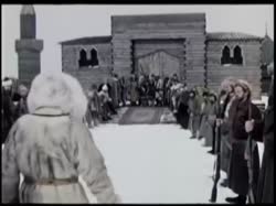 17215478093520.webm