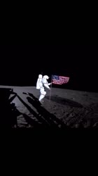 17258823617480.mp4