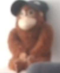 1727355617559.jpg