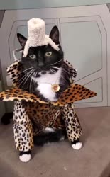 17095826022463.webm