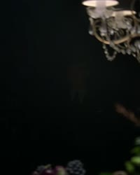 17101807670770.mp4