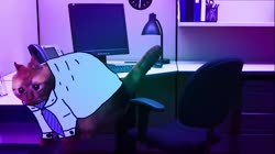 1727454281910.mp4