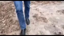 16282723316780.mp4