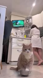 17094860152767541660102be6576x1024.mp4