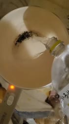 1641974446431.mp4