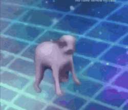 dog-doggo.gif