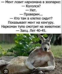 1000001707.jpg