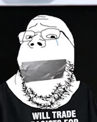 17275507686511.mp4