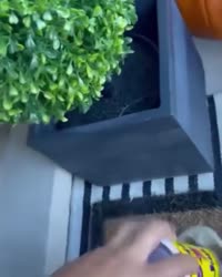 mrd1.mp4