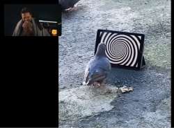 45786979.png