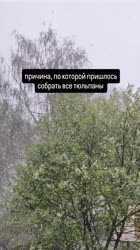 AQMsUHjZxsxjsp2uLxpeSBn803F4HgIzAqmYP5v4MXAAVSXvMXiVA8bZHeCp4AjBJWDs-nhduTiYNMXQgNsMYjblTVP4j3vIU4Fxo.mp4