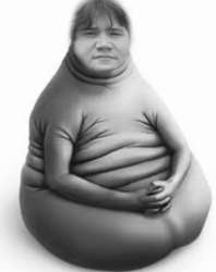 IMG2668.jpeg