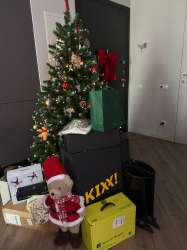 IMG20241231131250790.jpg