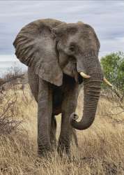 09890.webp