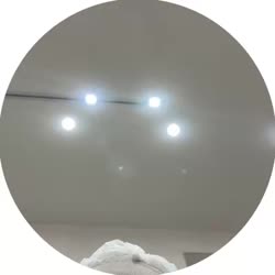 video3.mp4