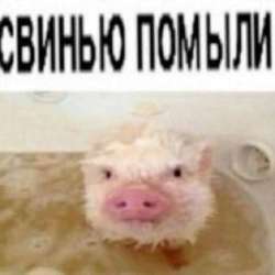 1595053497003.jpg